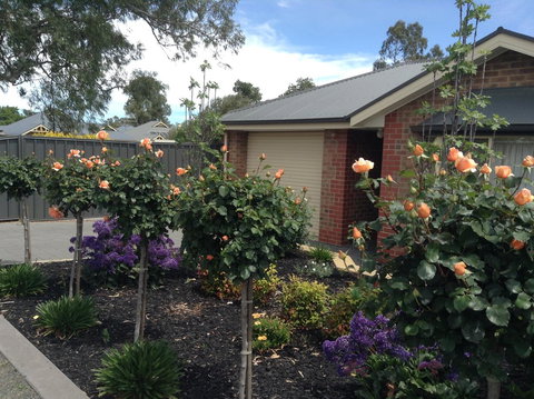 C And C Tanunda - Accommodation BNB 1