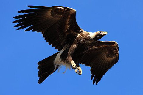 Eagles Range - Accommodation BNB 16