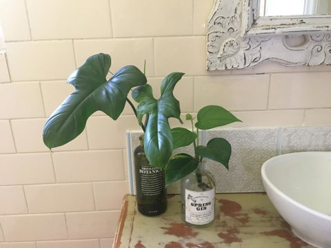 Yallaroo Cottage - Accommodation BNB 13