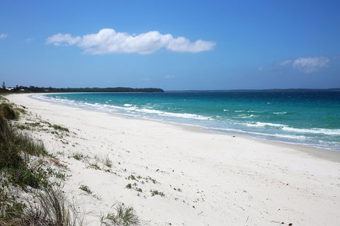 Wildwood I Pet Friendly I 5 Mins To Beach - Accommodation BNB 14