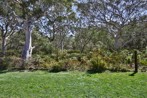 Wildwood I Pet Friendly I 5 Mins To Beach - Accommodation BNB 17