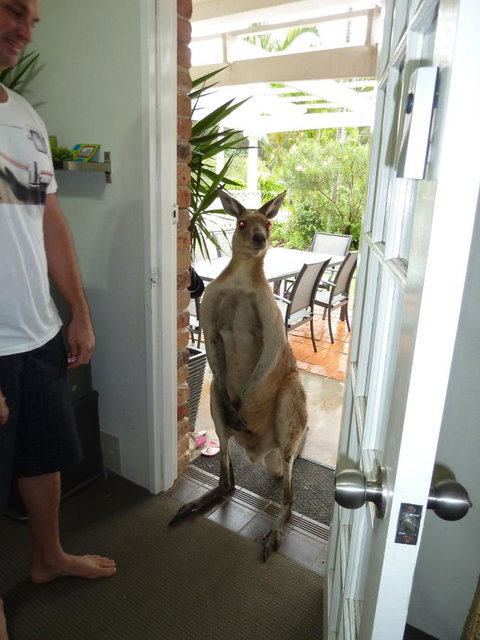 Aston Motel Yamba - Accommodation BNB 10