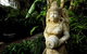 The Lotus Eater - thumb 18