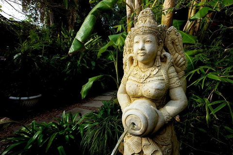 The Lotus Eater - Accommodation BNB 18