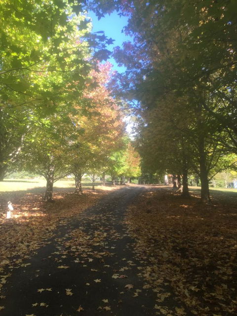 A Peaceful Cabin In The Country - Accommodation BNB 0