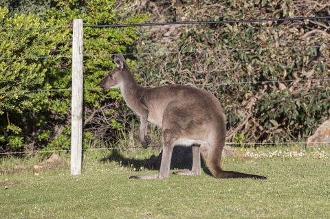 Chandlers Smiths Beach Villas - Accommodation BNB 15