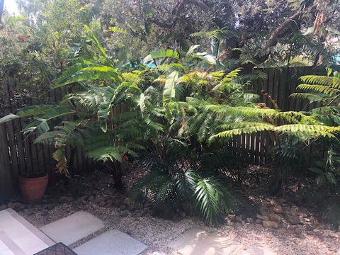 East On Byron - Accommodation BNB 40