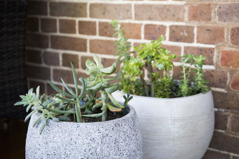 The Parkview Hotel Mudgee - Accommodation BNB 34
