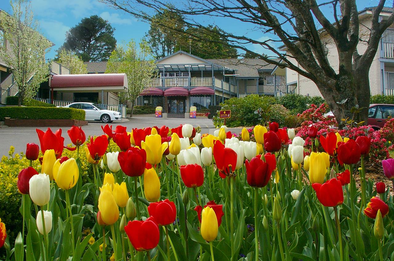 Leura NSW Accommodation BNB