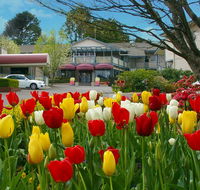 Nesuto Leura Gardens formerly Waldorf Leura Gardens Resort - Accommodation BNB