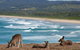 High Tide At Emerald - thumb 13