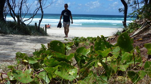 SaltBeach2302 - Accommodation BNB 15