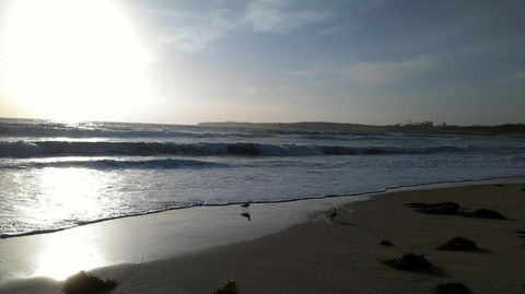 Sweet Spot Shellharbour - Accommodation BNB 14