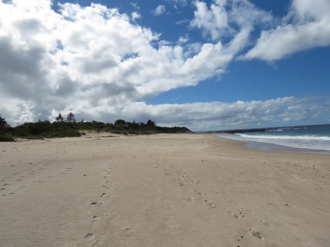 Sweet Spot Shellharbour - Accommodation BNB 15