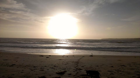 Sweet Spot Shellharbour - Accommodation BNB 16