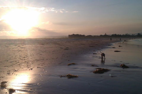 Sweet Spot Shellharbour - Accommodation BNB 12