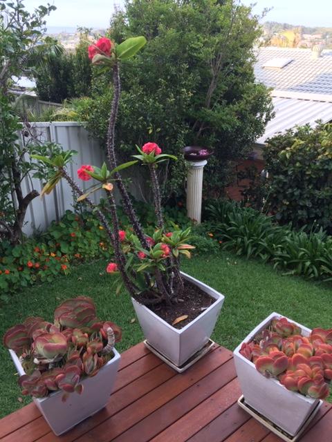 Churchill View Forster - Accommodation BNB 11