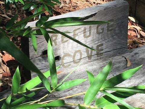 Refuge Cove On Pittwater - Accommodation BNB 12