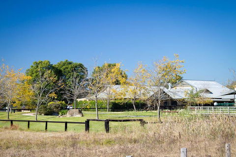 Potters Apartments - Accommodation BNB 26