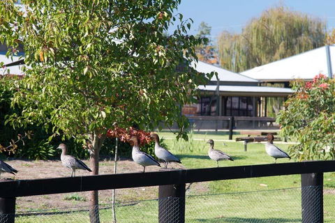 Potters Apartments - Accommodation BNB 25