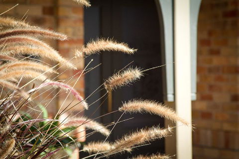 Potters Apartments - Accommodation BNB 41