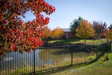 Potters Apartments - Accommodation BNB 33