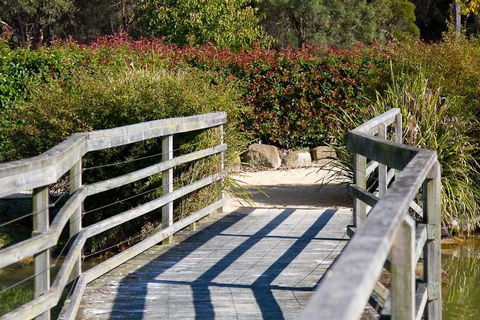 Potters Apartments - Accommodation BNB 10