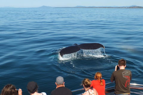 Pacific Marina Apartments - Accommodation BNB 34