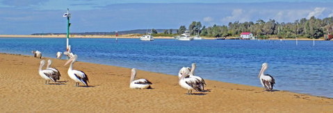 Pelican Motor Inn - Accommodation BNB 29