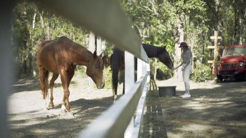 The Woods Farm Jervis Bay - Accommodation BNB 13