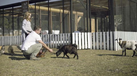 The Woods Farm Jervis Bay - Accommodation BNB 14