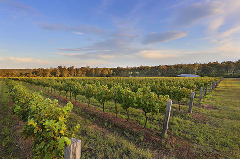 Ironstone Estate Lovedale - Accommodation BNB 31