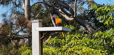 The Edgewater On Greville - Accommodation BNB 15