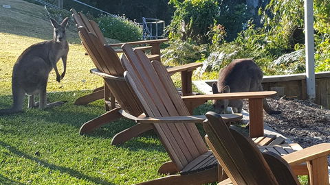 The Edgewater On Greville - Accommodation BNB 18