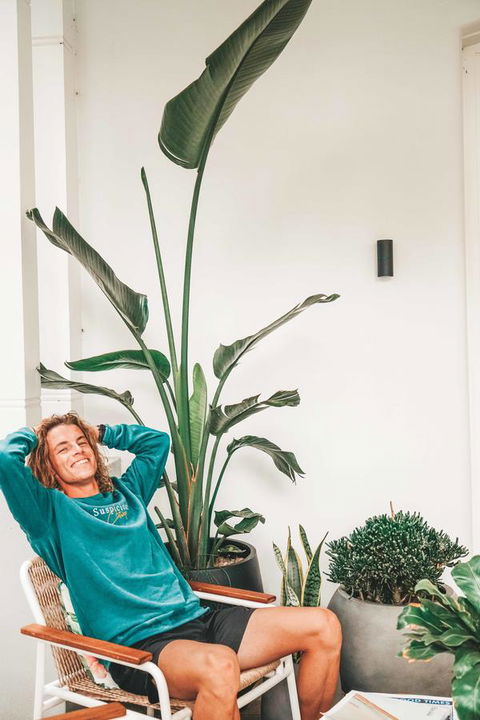 The Baxley Bondi - Accommodation BNB 42