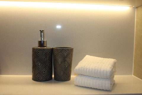 Stunning Views Sydney Olympic Park - Accommodation BNB 24