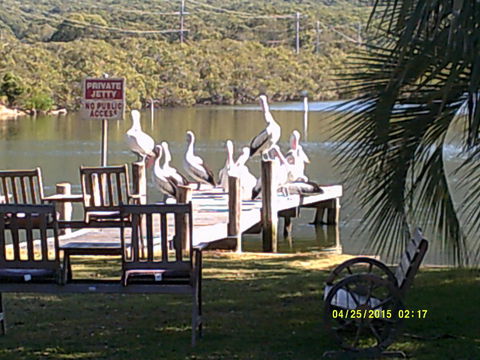 Pelican H2O One & Two Bedroom Apartments - Accommodation BNB 9