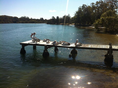 Pelican H2O One & Two Bedroom Apartments - Accommodation BNB 5