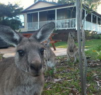 Bush  Bay Cottage - Accommodation BNB
