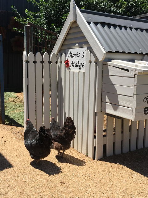 Thelma's Temora - Accommodation BNB 12