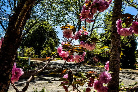 Bundanoon Lodge - Accommodation BNB 3