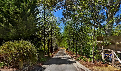 Bundanoon Lodge - Accommodation BNB 21