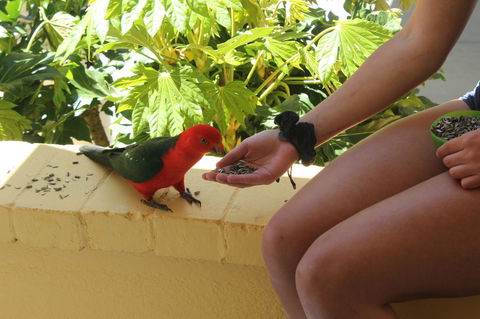 Bundanoon Lodge - Accommodation BNB 4