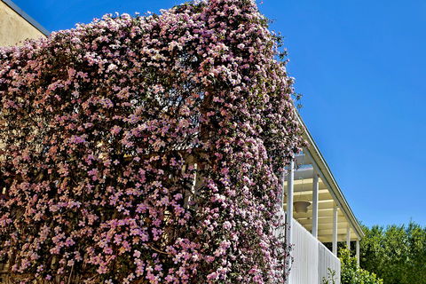 Bundanoon Lodge - Accommodation BNB 13