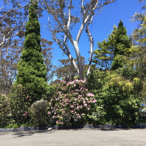Sky Rider Motor Inn - Accommodation BNB 32