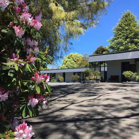 Sky Rider Motor Inn - Accommodation BNB 14