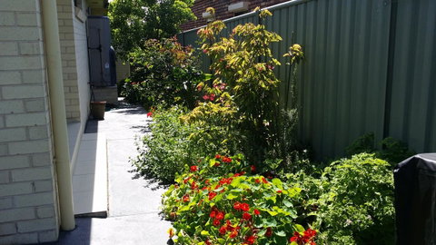 Sydney Amazing Holiday Home Bridal BnB - Accommodation BNB 41