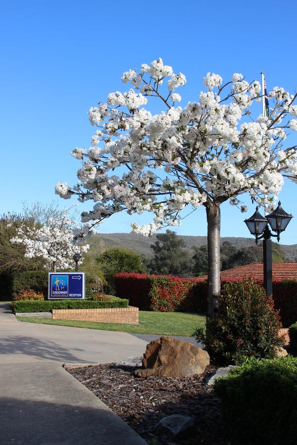 Glenroy NSW Accommodation BNB