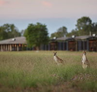 Wildman Wilderness Lodge - Accommodation BNB