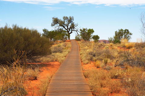 Discovery Resorts - Kings Canyon - Accommodation BNB 27